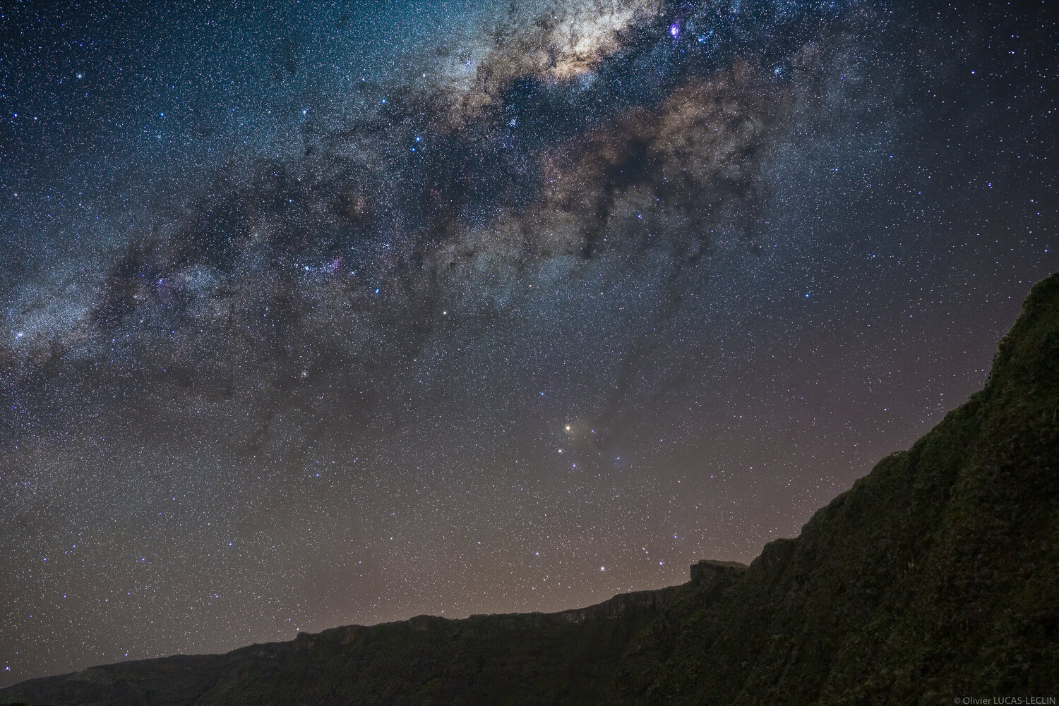 Scorpion rempart.jpg