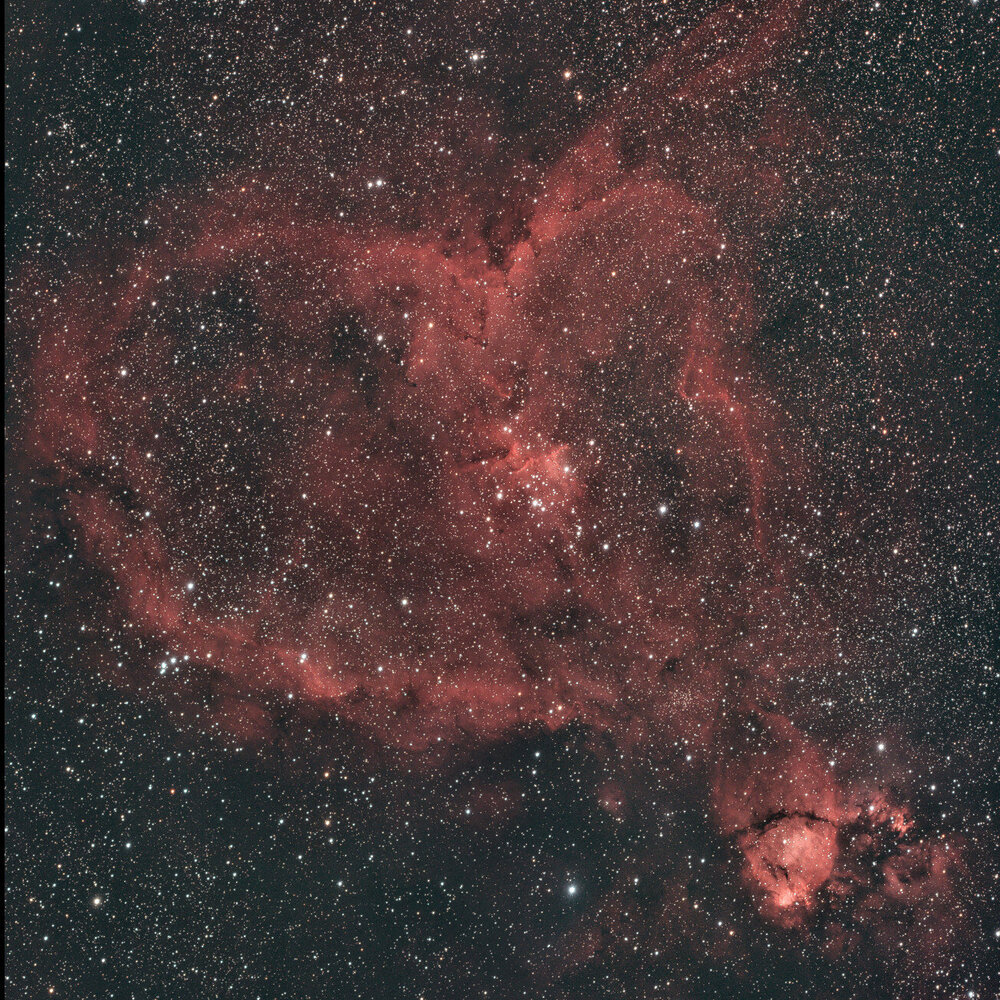 2020-09-17-ic-1805-heart-nebula-25.thumb.jpg.938755014dacdbcfc34c005bc43e2ff7.jpg