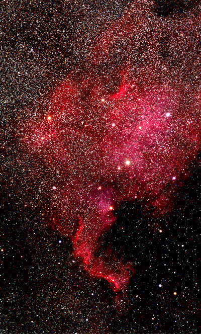 NGC7000.jpg.f7b0947b473b04db236439cb00895047.jpg