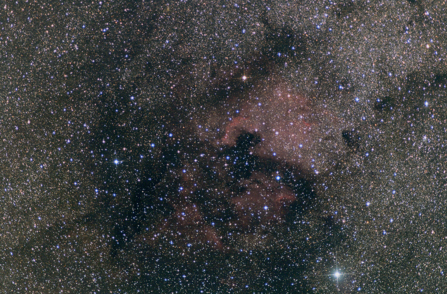 ngc7000_135mm.thumb.jpg.c40fd5bec0896ba7da4756aff37c1b07.jpg