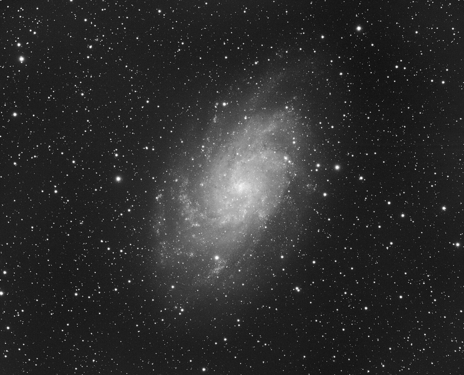 m33+.jpg