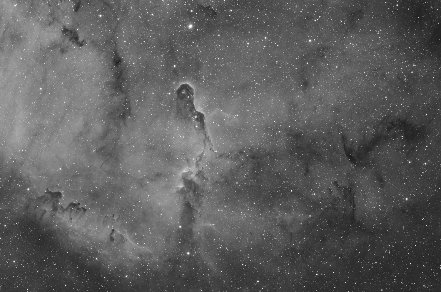 40x5min_trompe_stacked CS5.jpg