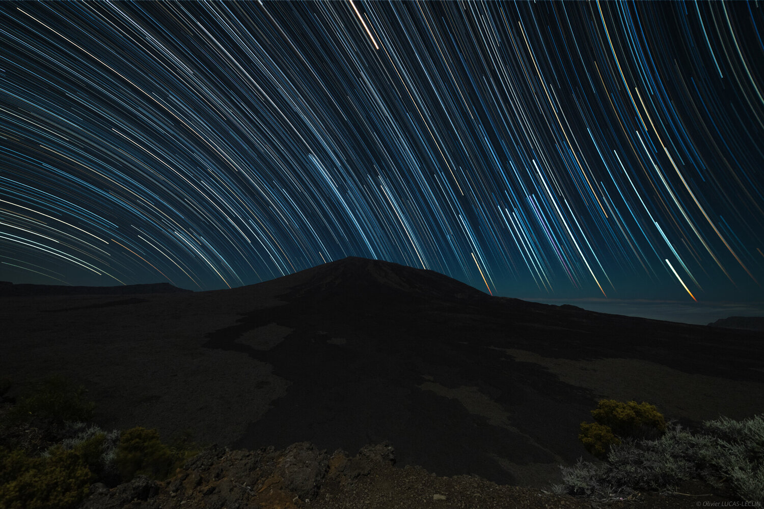 Filé piton de Bert.jpg