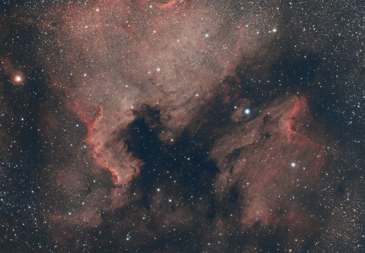 NGC7000.thumb.jpg.6f207caac7052af0c9f19812a82cbad9.jpg