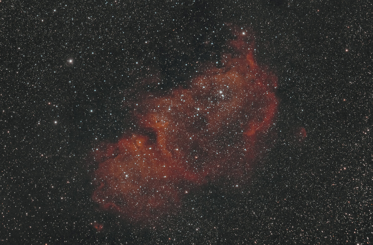 ic1848_final.jpg