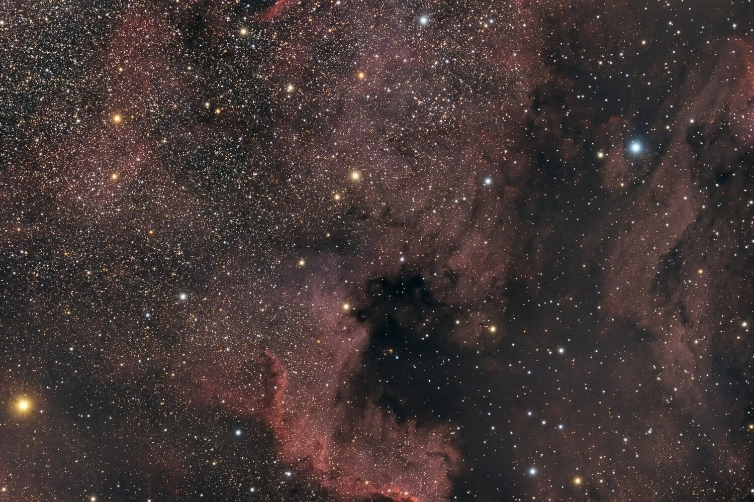 ngc700030sept.thumb.jpg.9a0ad1ac20253015f312eba41a3febb5.jpg