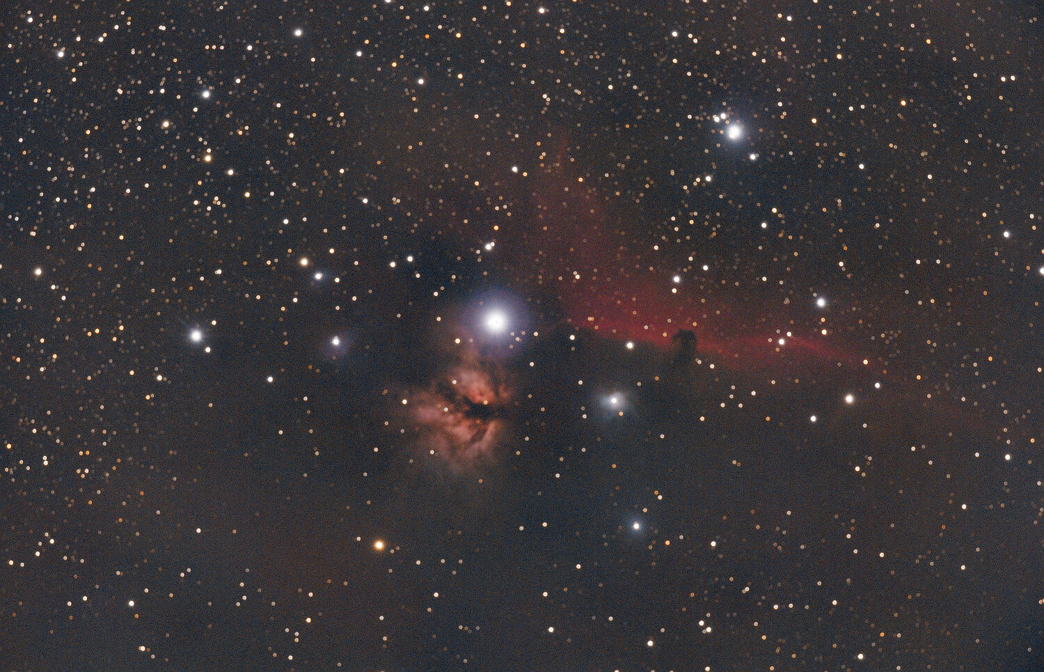 nébuleuse tête de cheval SIRIL extraction gradient améliorée 2 .jpg