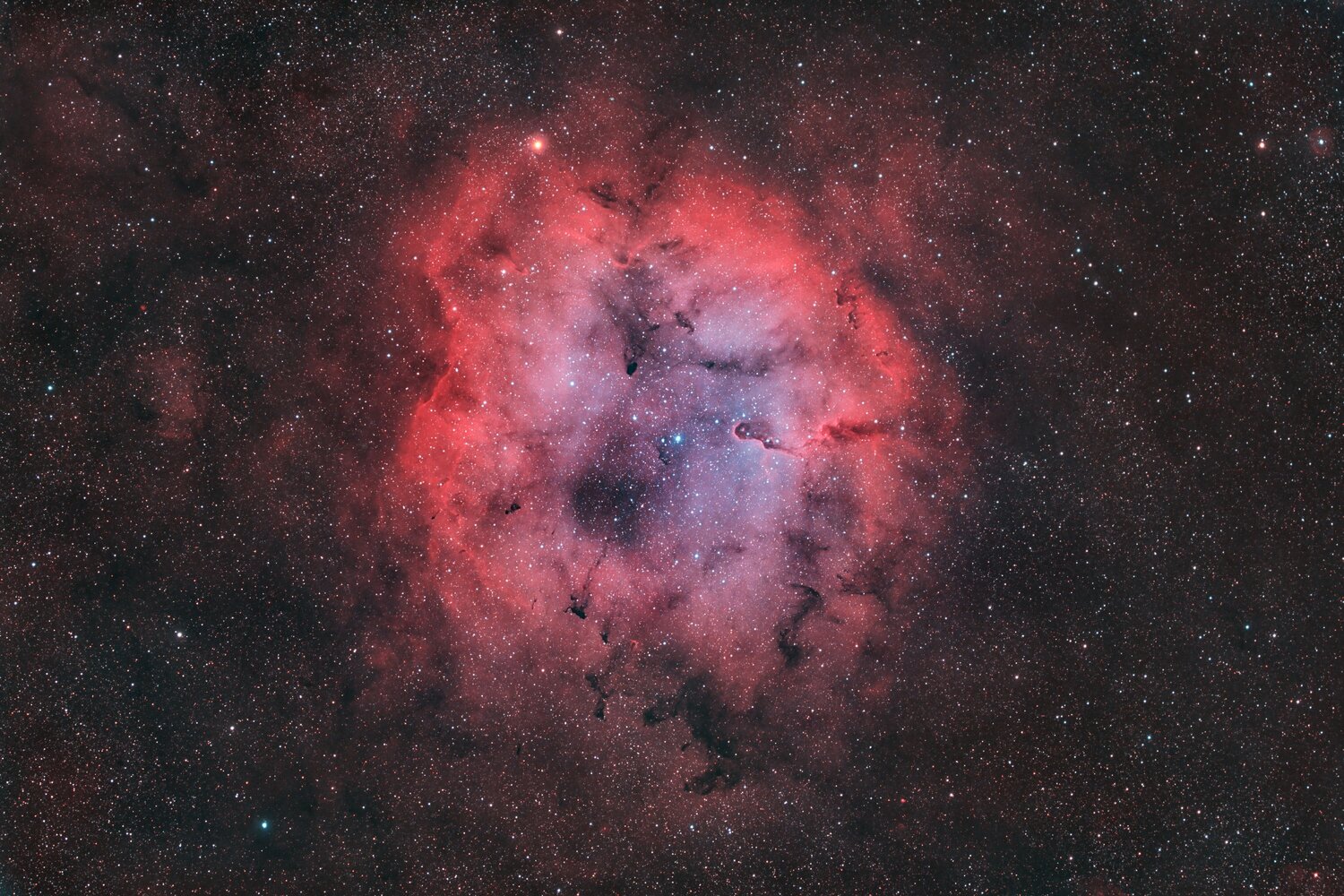 IC1396A-HOO-ASI6200MC-76EDPH-12Mp.thumb.jpg.dbb075cb2c1c1cb0d95bbe9c2965cf69.jpg