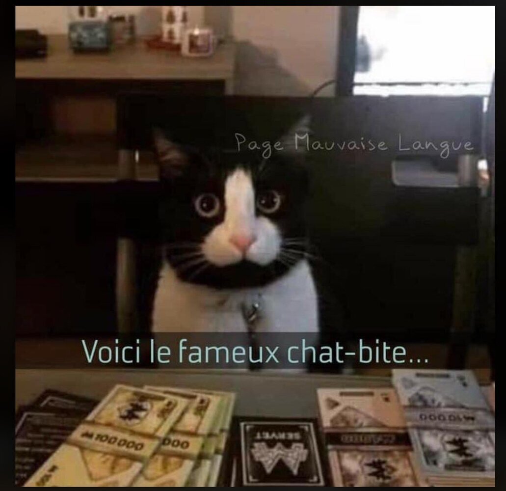 chat-bite.thumb.jpg.e7da66a593157354ff045efe2584b571.jpg