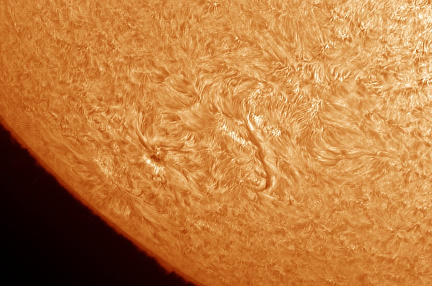 sol-20nov20-c.thumb.jpg.c90ce4253346dac14365394fef4f8876.jpg