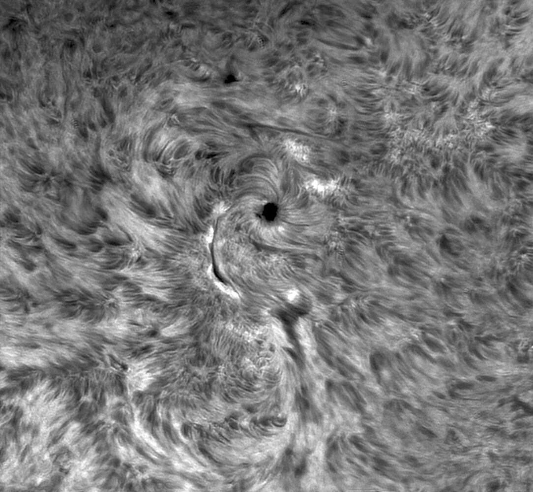 sol-bn-5nov20.thumb.jpg.39238b065c7ae484e0d74e970f7eeb45.jpg