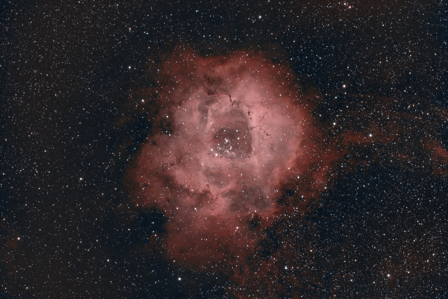 Rosette 30x180sec-DeNoiseAI-low-light.jpg