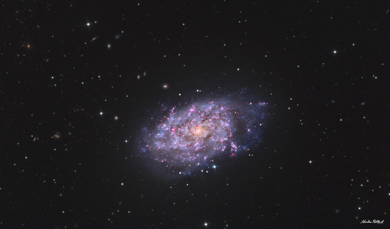 NGC 7793-202010-CDK17-HaLRGB_crop_Nicolas Rolland.jpg