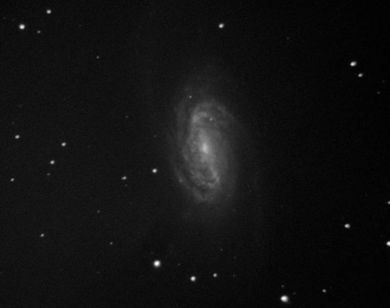 89493856_NGC2903-22x193425s.png.8348cf133c899b25eaab6764cc55cfc2.png