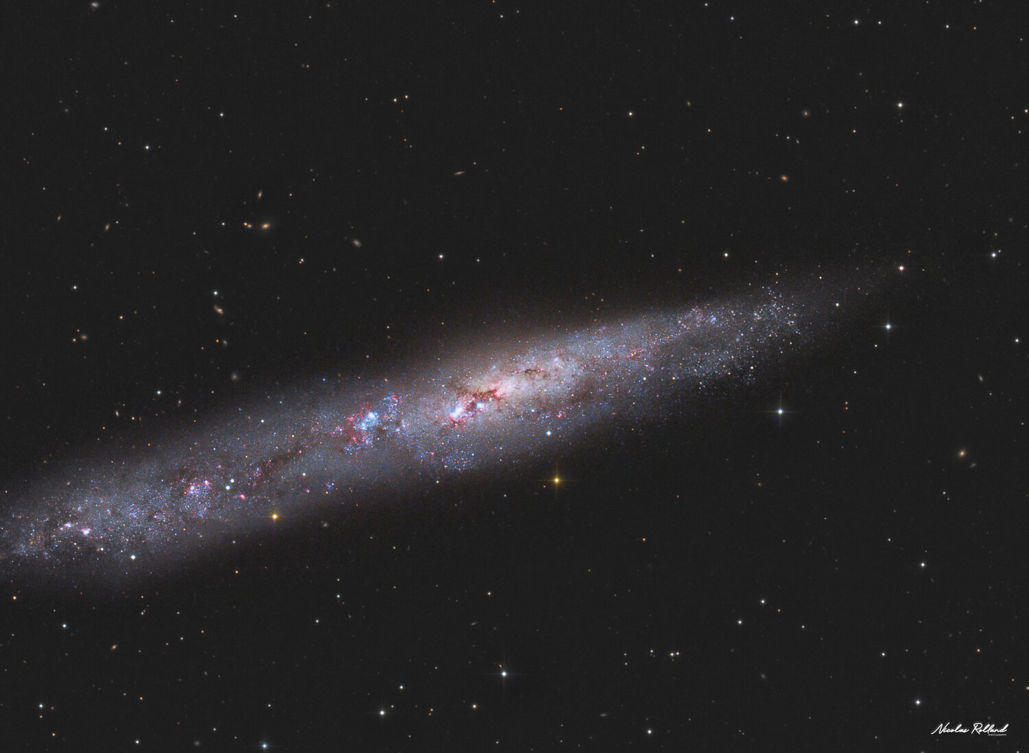 NGC 55-202009-CDK24-LRGB_Nicolas ROLLAND (1).jpg