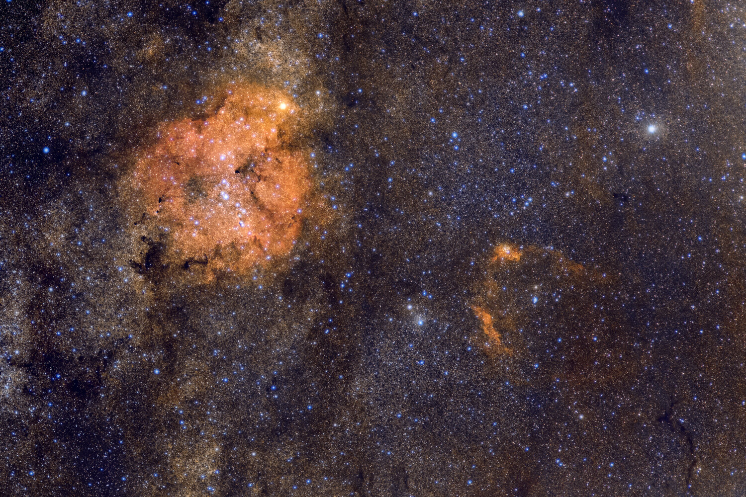 IC1396_DSLR.thumb.jpg.c7af4472acf8f82333be12acdc693013.jpg