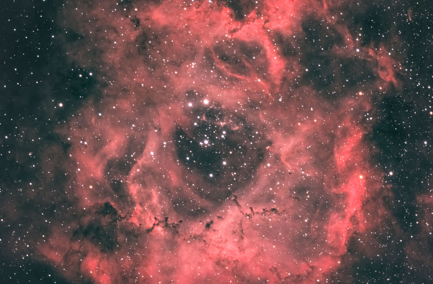 final_NGC2237_Ha-RHaVB_calo.jpg