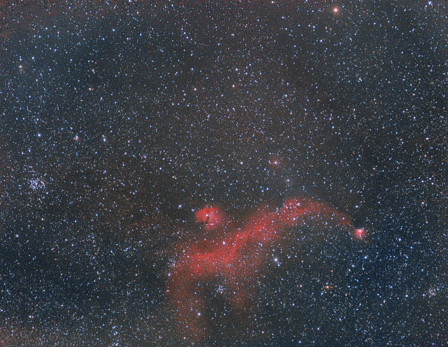 MOUETTE  08 02 21 2ème prise   amélioration du 13 2 21.jpg