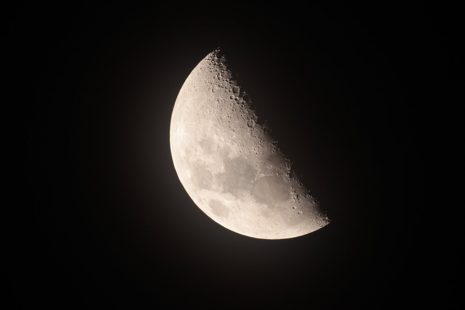 IMG_8727 S 1:15s.jpg