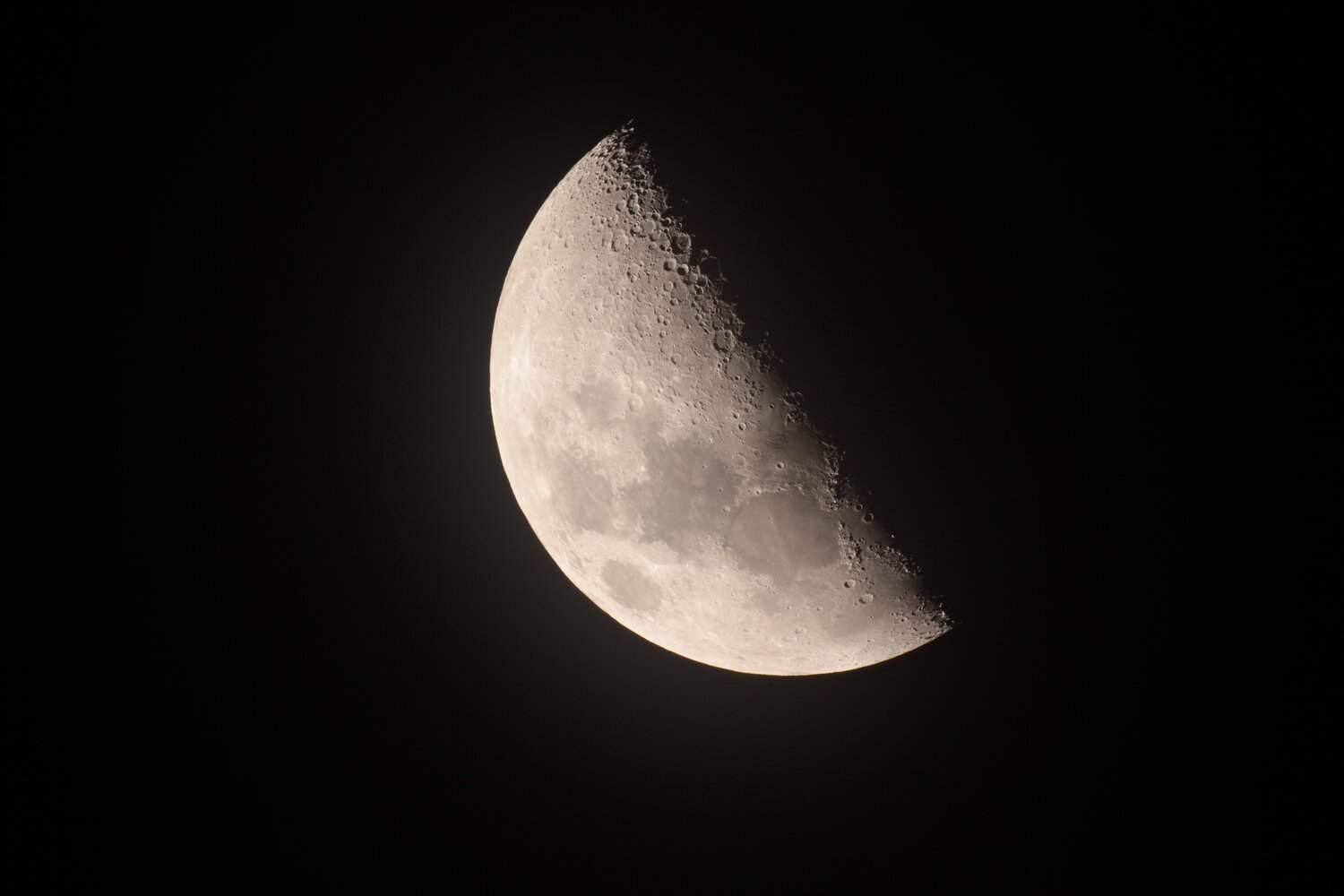 IMG_8725 S 1:20s.jpg