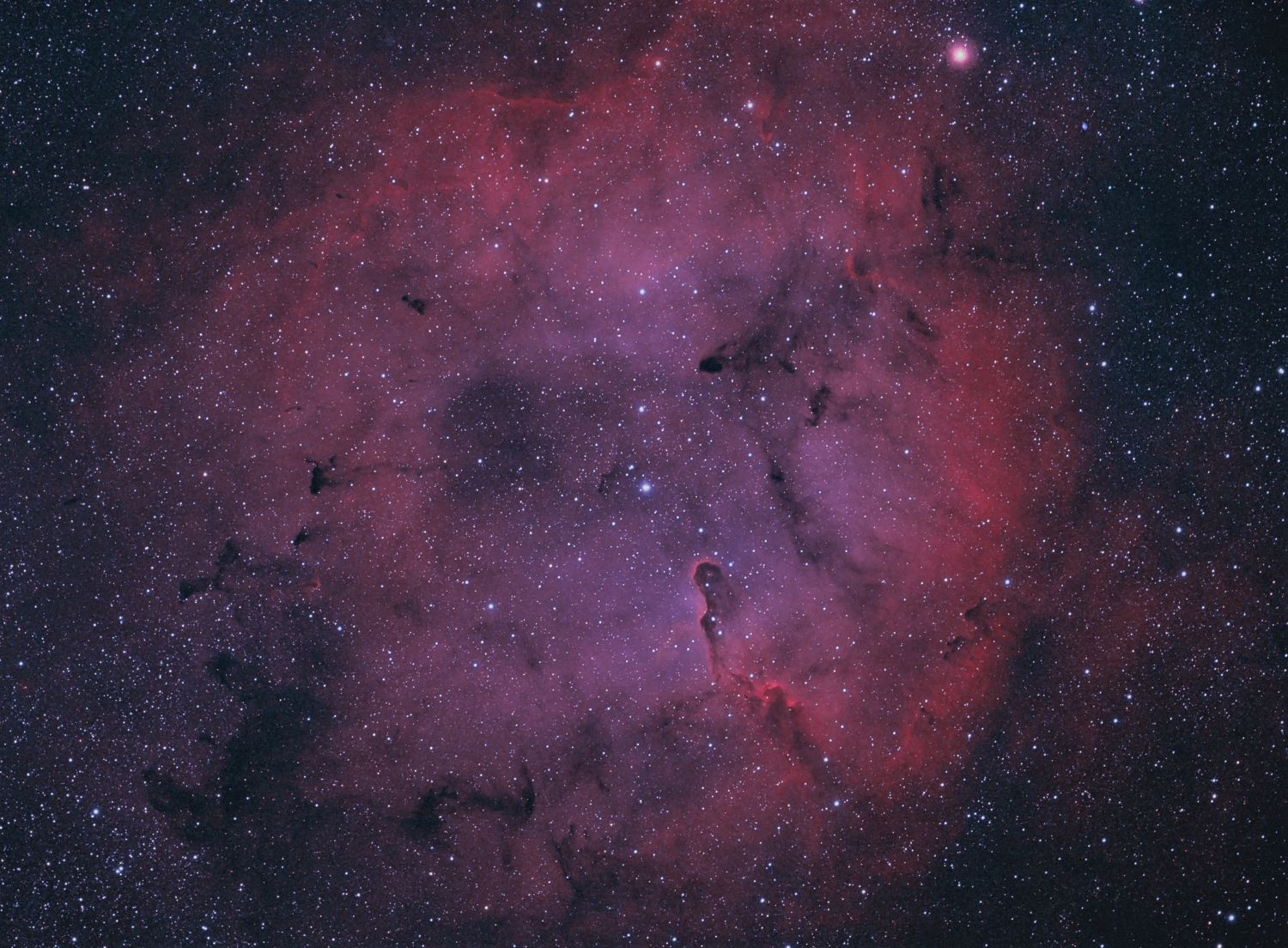 IC1396_28x300s_55d_gain100_-20C_PS_v2.thumb.png.d6c8b3ae91d229a86548486f458cf9e0.png