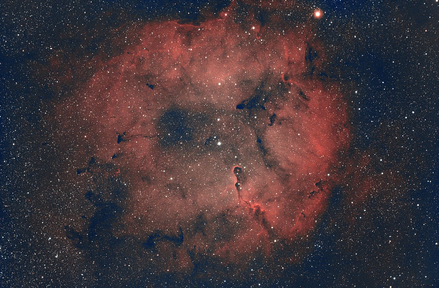 IC1396_72x300s_Bin1_gain100_-20C_GIMP_niv_net.thumb.png.b3da34caed1d0880ef664fb38d7eec2e.png
