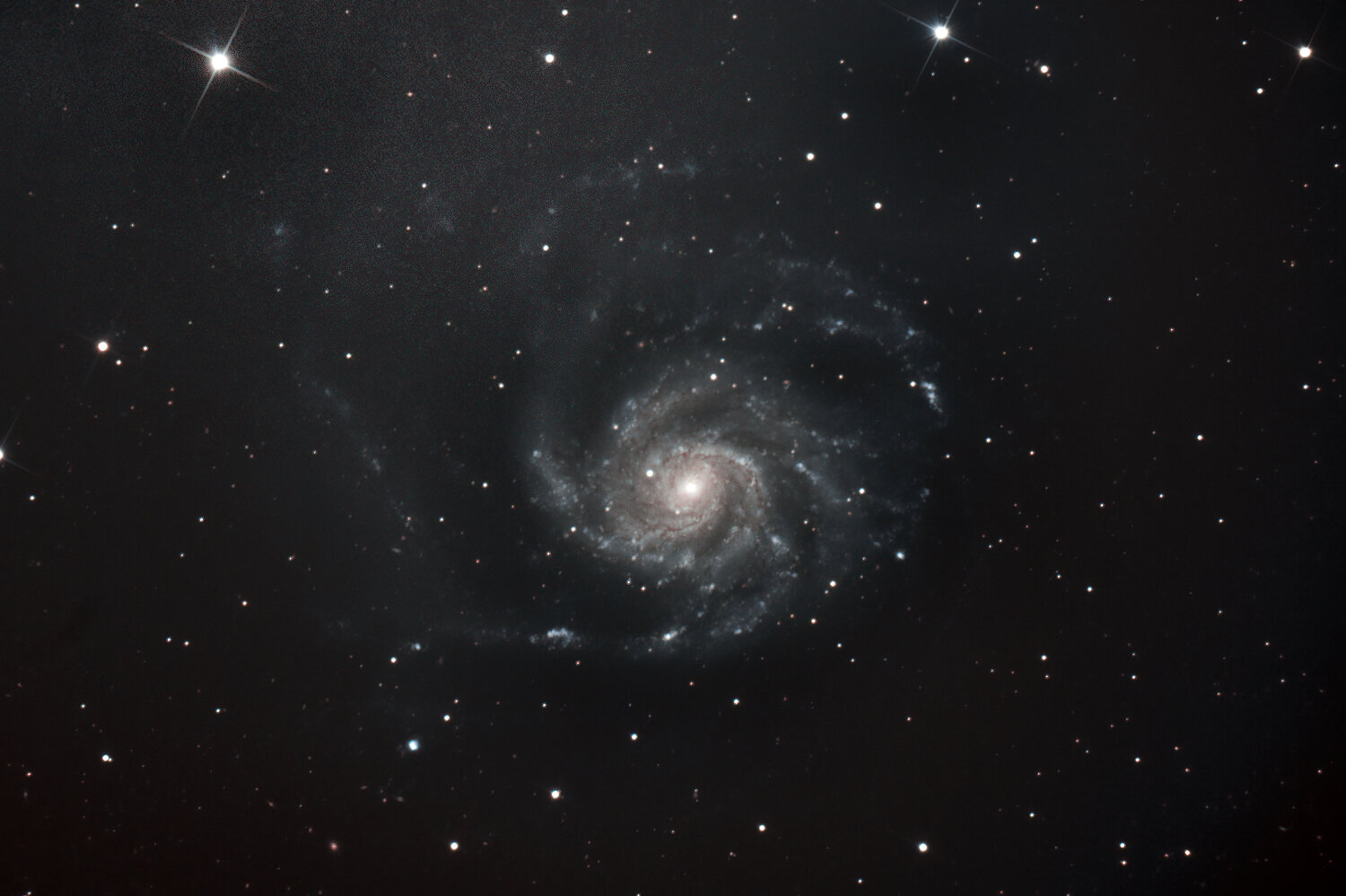 M101_13022021.thumb.jpg.29839294227e832a6b9ee5b3439c37b2.jpg