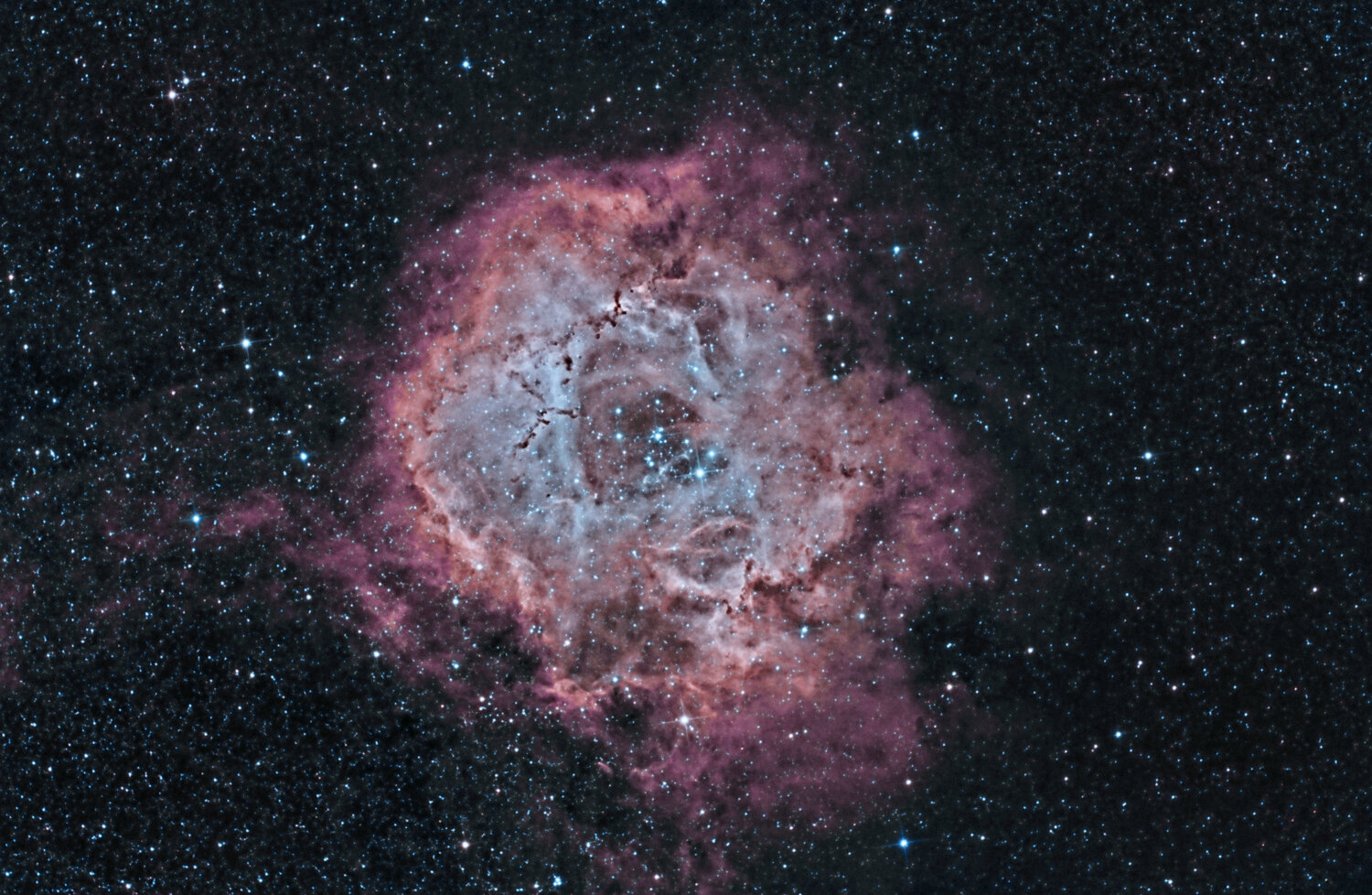 NGC2237_RVB_HAO_60x180s_19012021_reduit.jpg