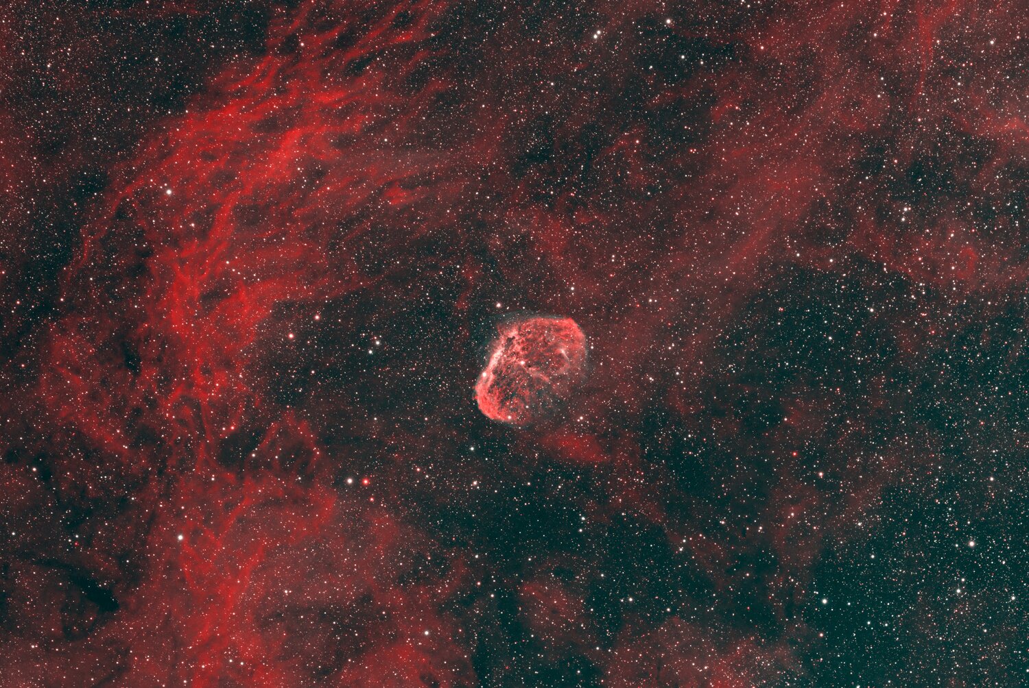 NGC6888_-10c_34x300sHa_21x300sOIII.thumb.jpg.451a576a4fe7f81d5943289d6093b1c6.jpg