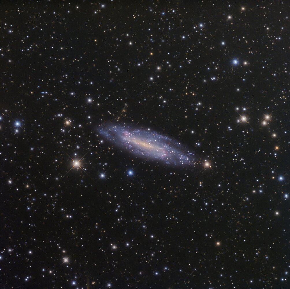 ngc4236.jpg