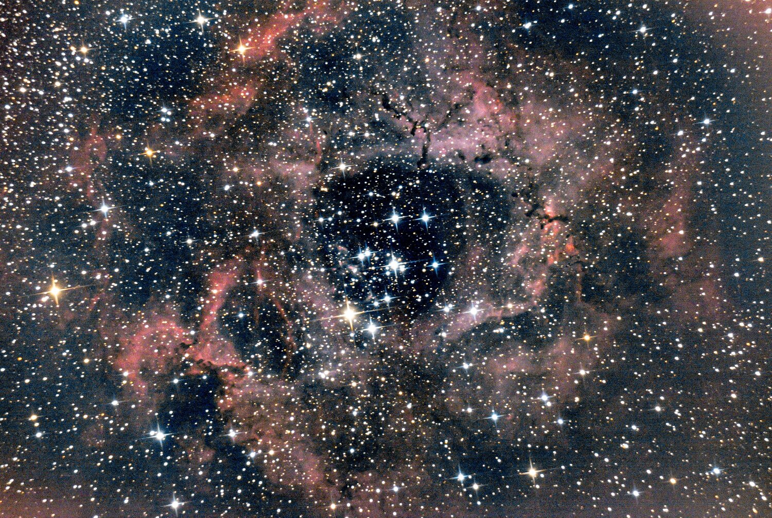 Rosette 5-4~2.jpg