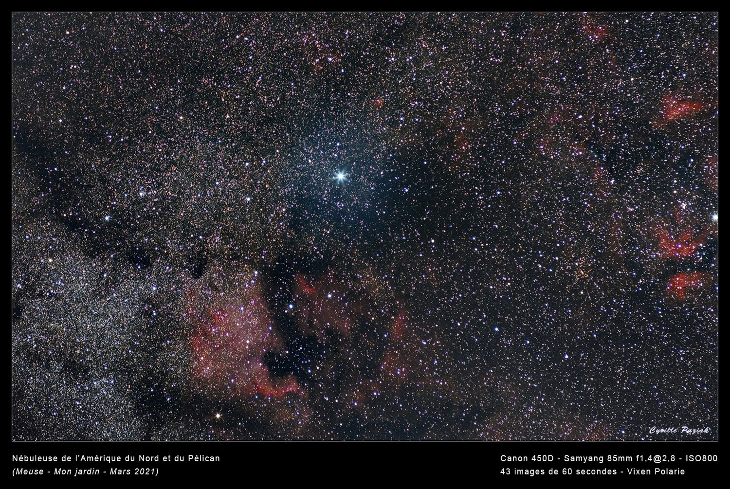 1745482298_NbuleusesAmeriqueetPelican.thumb.jpg.d8c0f9c04524ad94ee56ff3d38580dfa.jpg