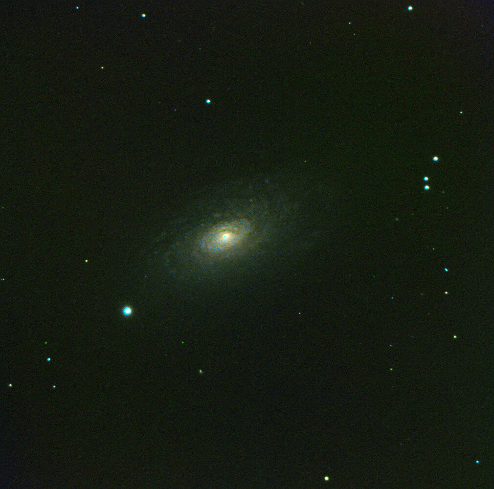 m63 tournesol.jpg