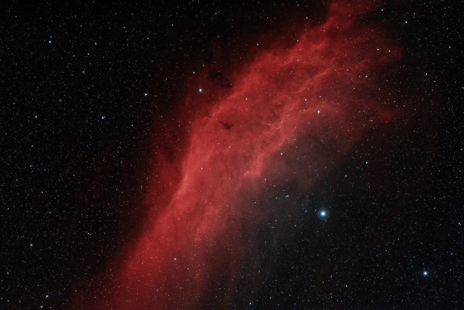 NGC1499_40x180s_FSQ_ASI2600_L-extreme.thumb.jpg.03dd8ec8162d08c943cc83e4f9b4cbd9.jpg