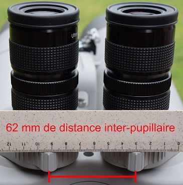 distanceinter-pupillaireWA.jpg.2dd6985427fb4da4ca392d723f2e083f.jpg