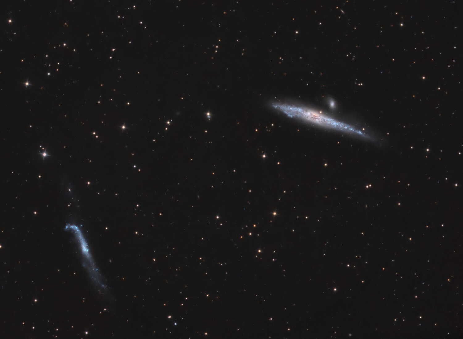 ngc4631.thumb.jpg.346639a25e19f528ea6c610f81b625e8.jpg