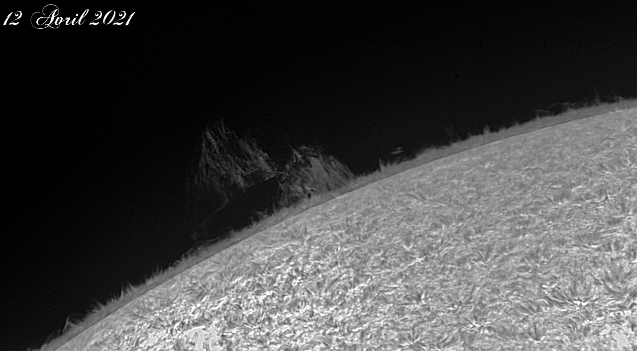 12avril21-x.jpg.59bb58cf96cf5166f2573510a7bdafa4.jpg