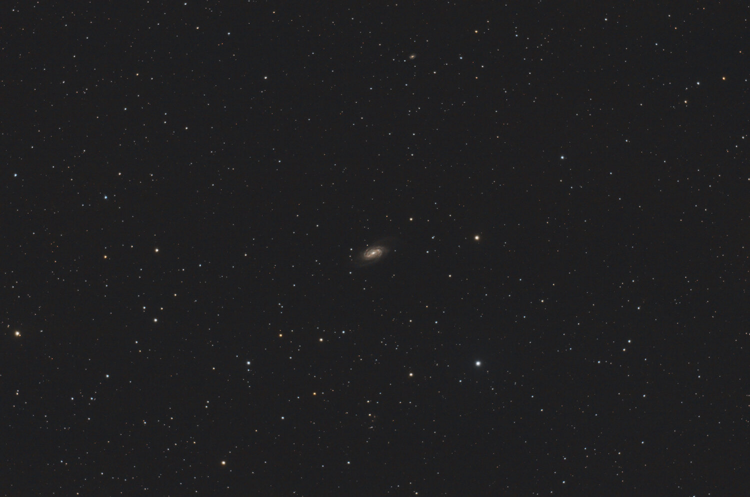 422027224_NGC2903SirilCS.thumb.jpg.fc1bb5fc49010fa6f73113d9fe688391.jpg