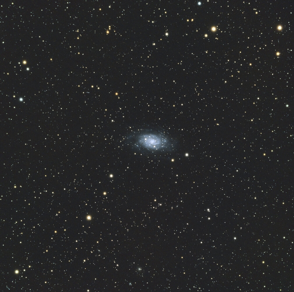 88296231_NGC2403web.thumb.jpg.42a18b01e0537dd97825ea235200c2b5.jpg