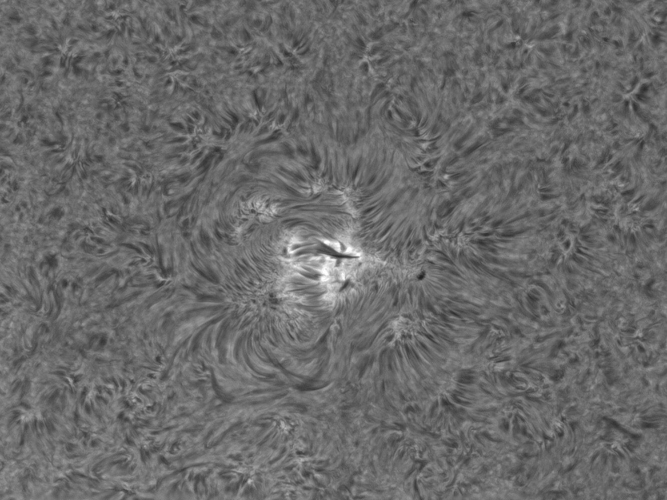 AR2814_12_59_08_x100_mono_reso0_25.thumb.jpg.03f2fe3db3eb5972f233092860cd9d3e.jpg