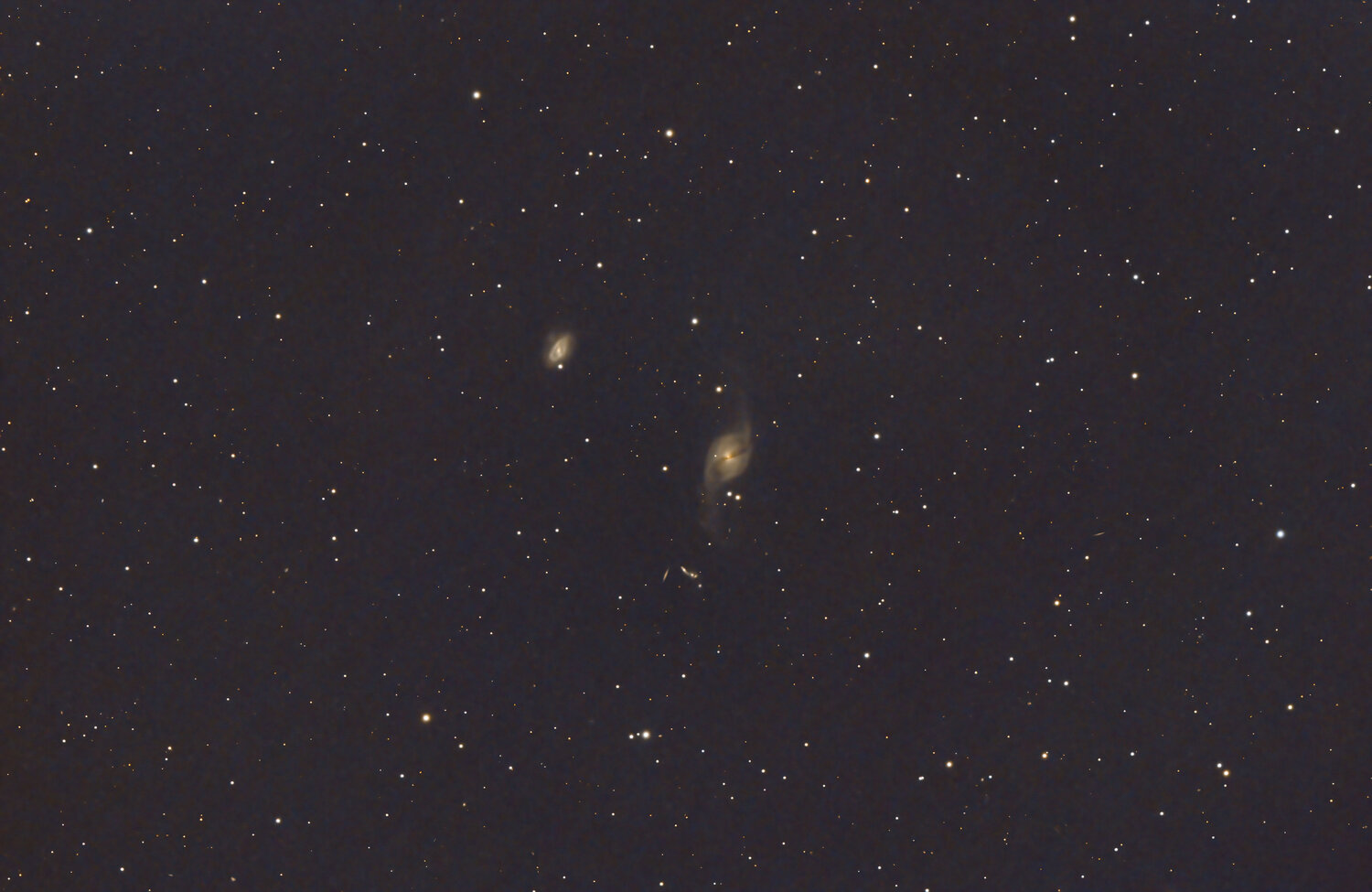 NGC3718.thumb.jpg.2839d82aebbceb7016a46fd050f25d4b.jpg