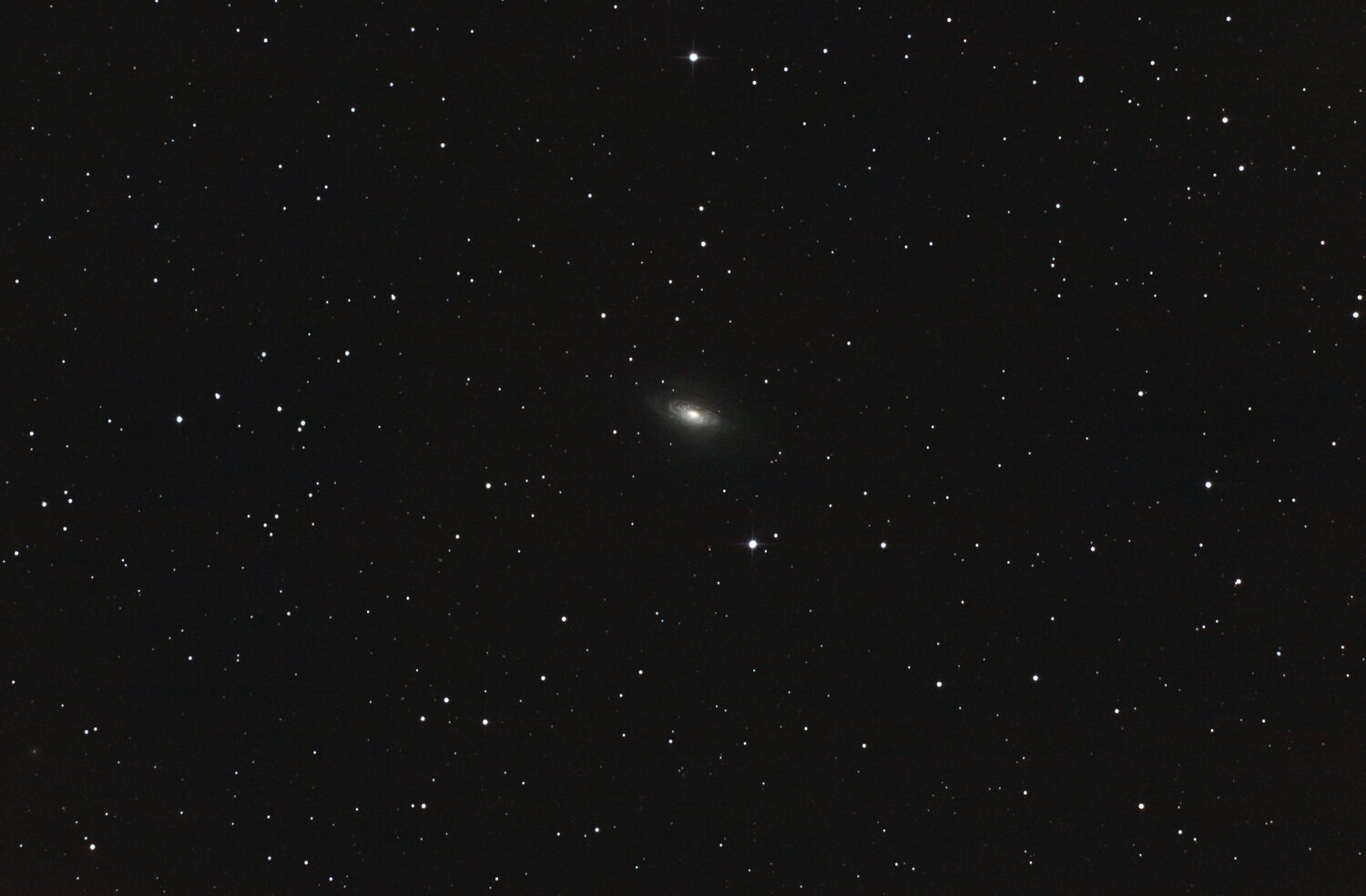 ngc3521010421.thumb.jpg.b726dbea20d57c64599f2003360324e1.jpg