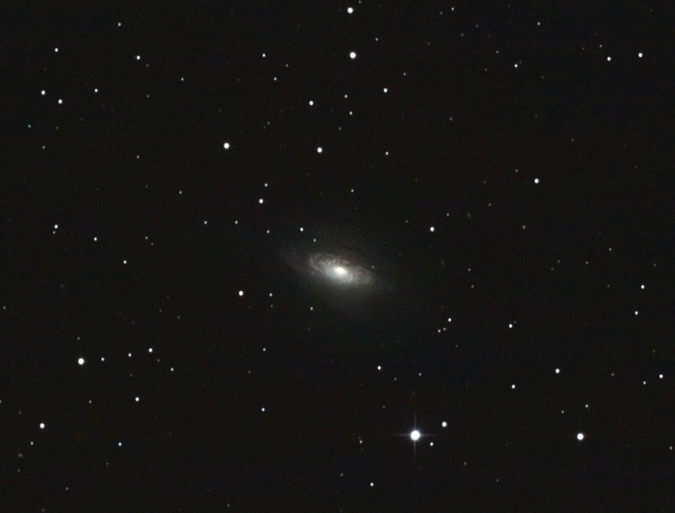 ngc3521010421CROP.thumb.jpg.e601b35387869acd39b4c443ddc1e169.jpg