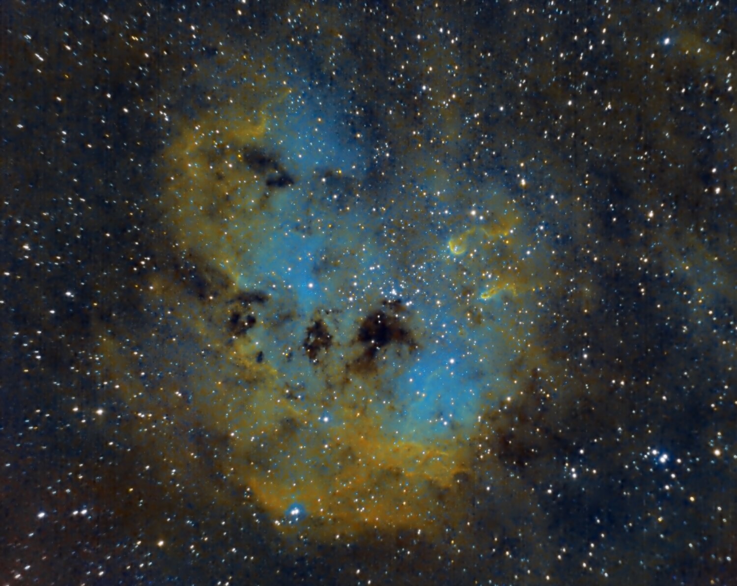 Les Têtards IC410.jpg