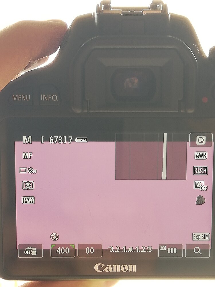 IMG_20210509_174258 (1).jpg