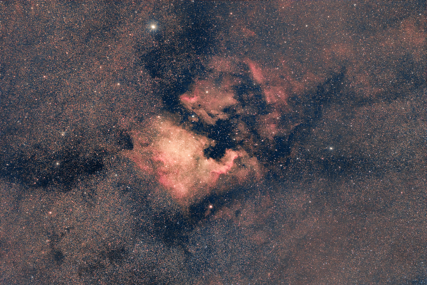 North_America_Pelican_Nebulas_135mm.thumb.png.ad9cb66749eb479575642734693d6e1c.png