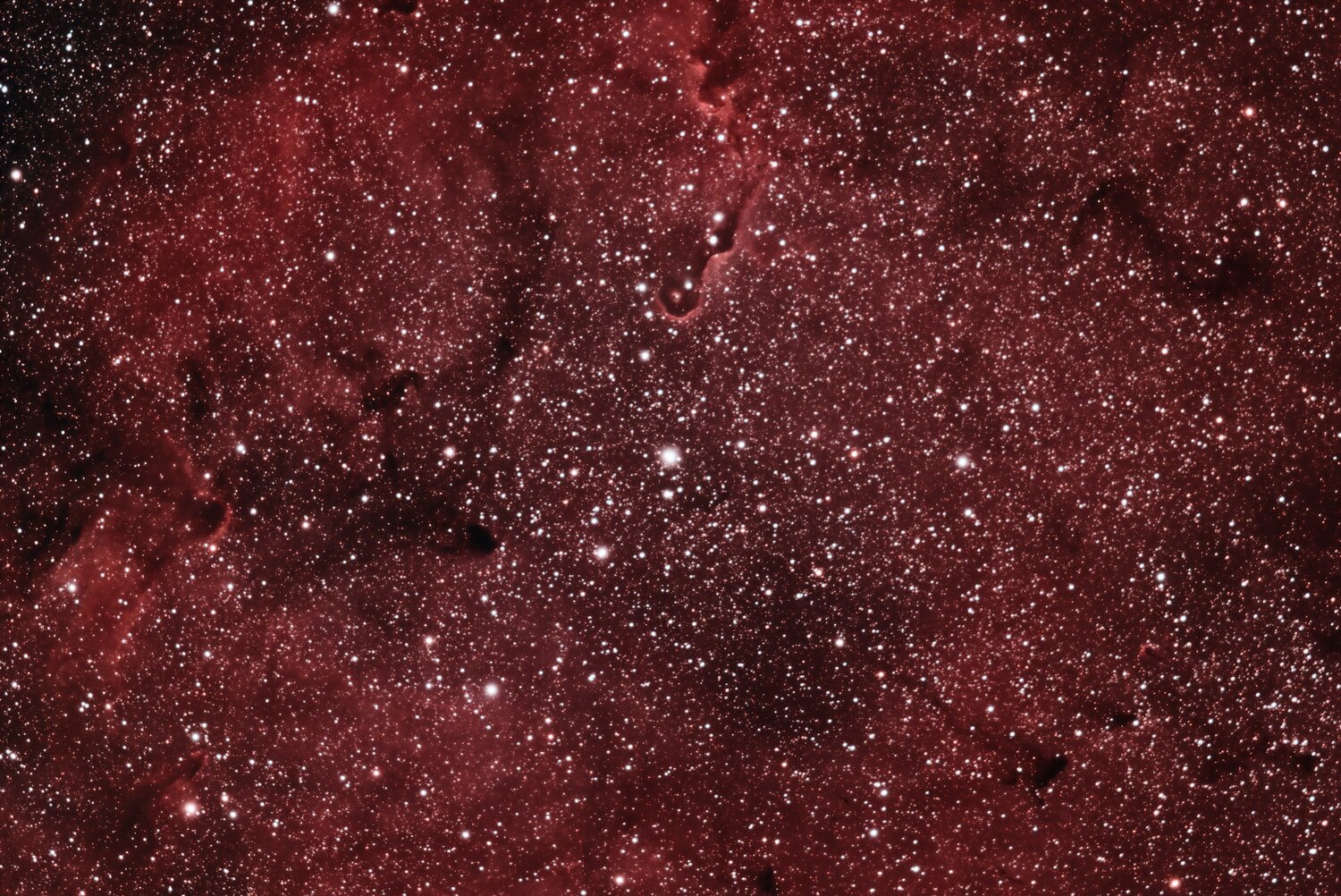 IC1396 traitée.jpg