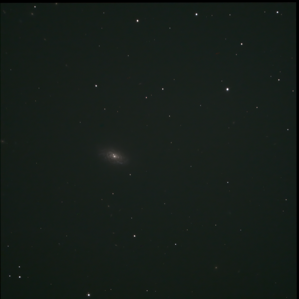 493232939_NGC4414Stack_95frames_380s_WithDisplayStretch-DeNoiseAI-denoise-SharpenAI-sharpen.thumb.png.978d72505f85c326b73ce7a9d7f0e2c9.png