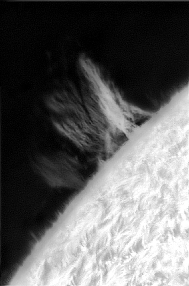 20210615123705755__100r_24T_497reg NB.png