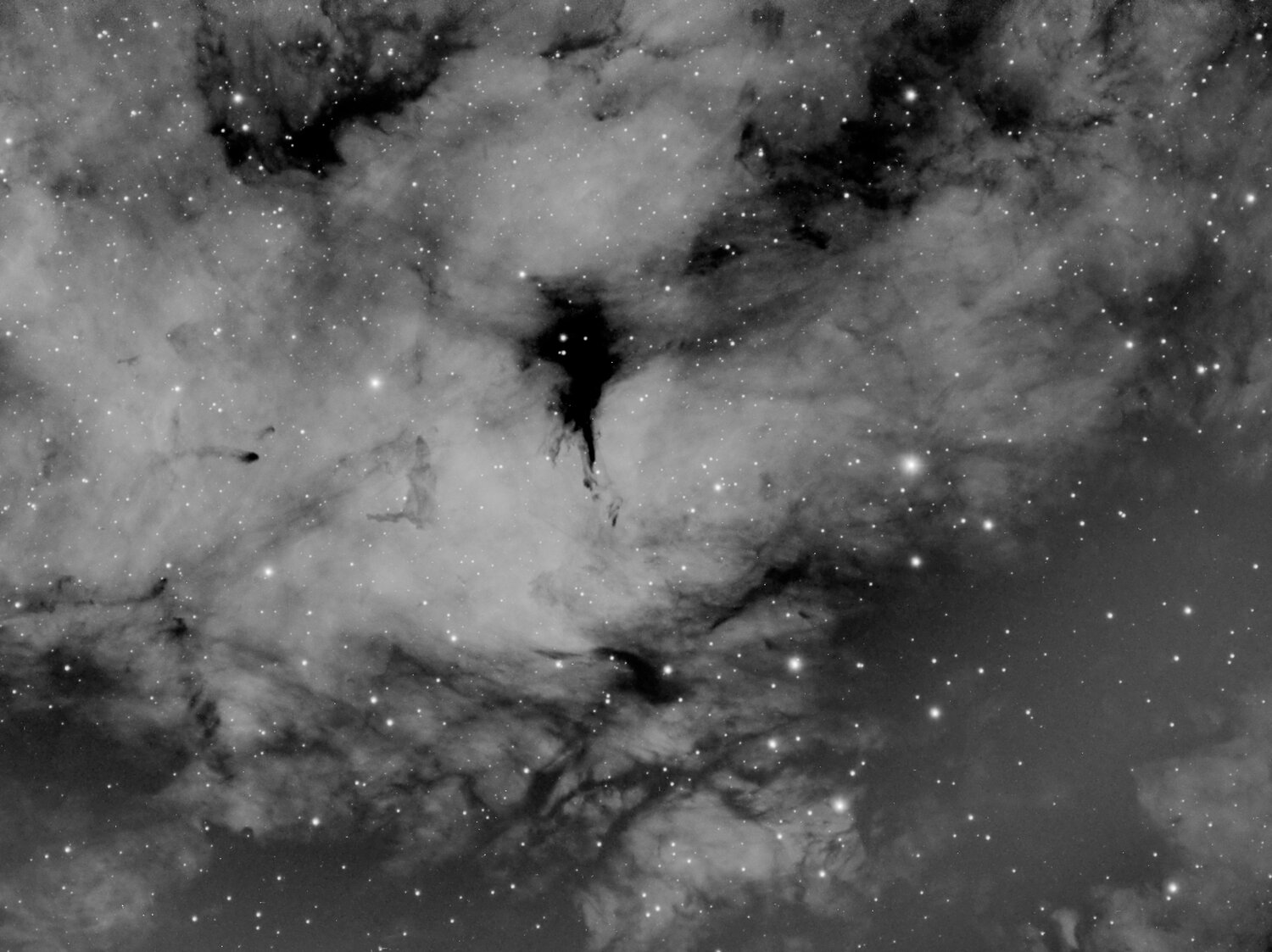 IC1318.jpg